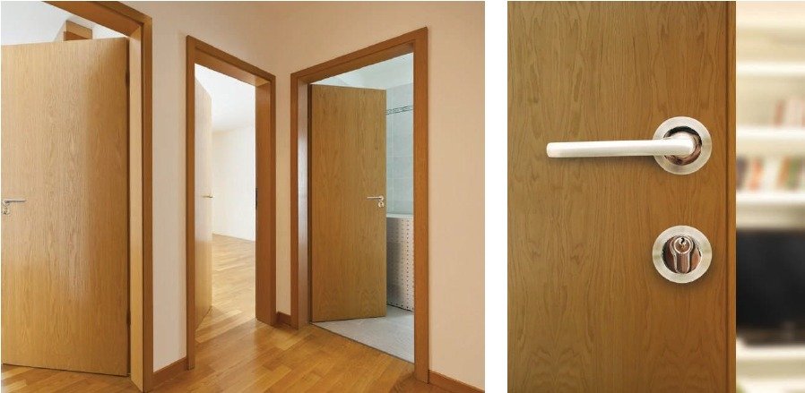 Artistic Interior Door